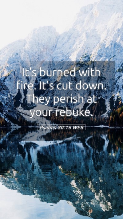 Picture 05 - Psalms 80:16 WEB Mobile Phone Wallpaper - It's burned with fire. It's cut down. They perish - Mobile Bible Verse Wallpaper