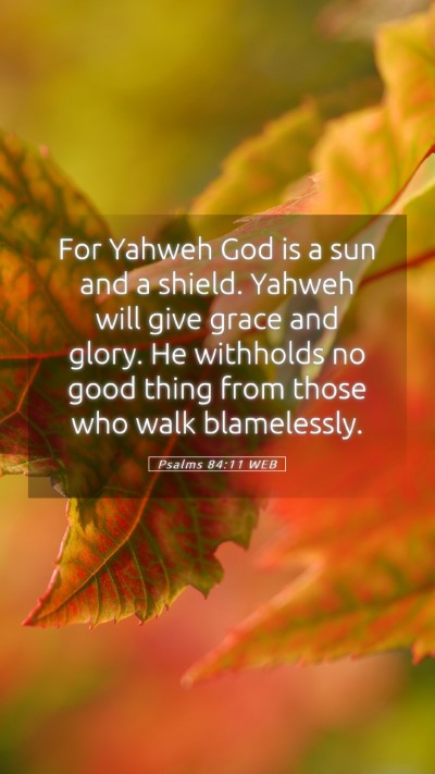 Picture 05 - Psalms 84:11 WEB Mobile Phone Wallpaper - For Yahweh God is a sun and a shield. Yahweh will - Mobile Bible Verse Wallpaper