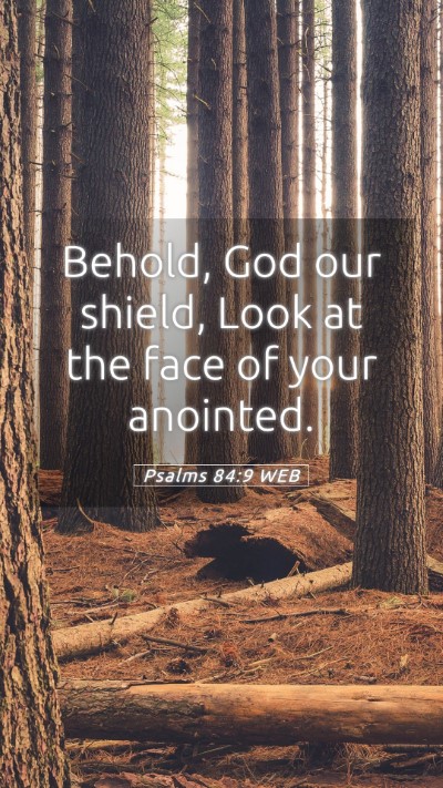 Picture 05 - Psalms 84:9 WEB Mobile Phone Wallpaper - Behold, God our shield, Look at the face of your - Mobile Bible Verse Wallpaper