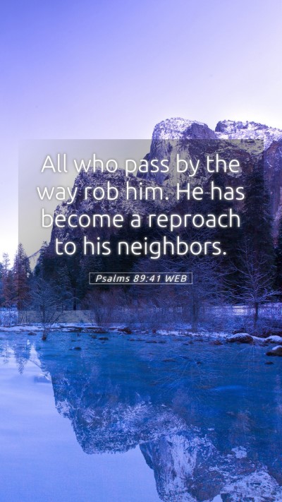 Picture 05 - Psalms 89:41 WEB Mobile Phone Wallpaper - All who pass by the way rob him. He has become a - Mobile Bible Verse Wallpaper