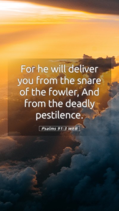 Picture 05 - Psalms 91:3 WEB Mobile Phone Wallpaper - For he will deliver you from the snare of the - Mobile Bible Verse Wallpaper