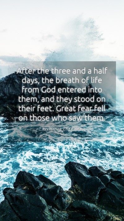 Picture 05 - Revelation 11:11 WEB Mobile Phone Wallpaper - After the three and a half days, the breath of - Mobile Bible Verse Wallpaper
