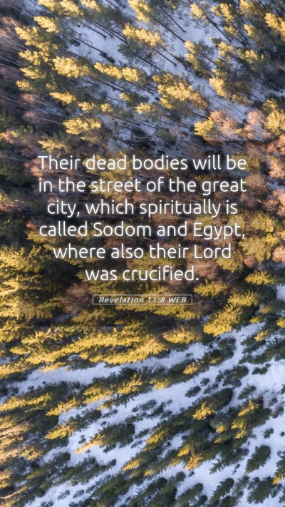 Picture 05 - Revelation 11:8 WEB Mobile Phone Wallpaper - Their dead bodies will be in the street of the - Mobile Bible Verse Wallpaper