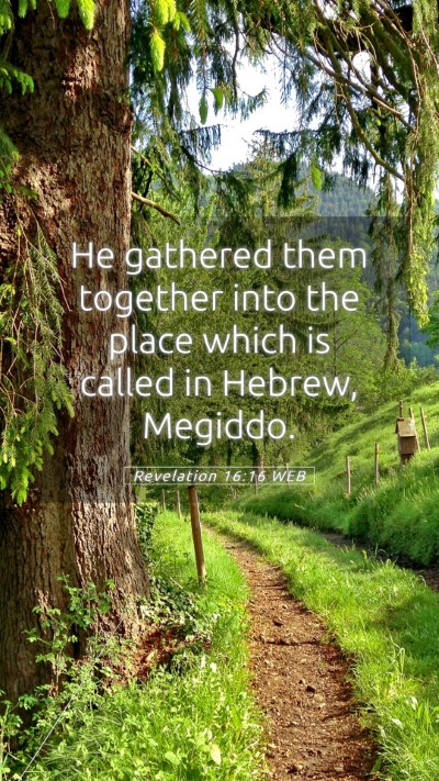 Picture 05 - Revelation 16:16 WEB Mobile Phone Wallpaper - He gathered them together into the place which is - Mobile Bible Verse Wallpaper
