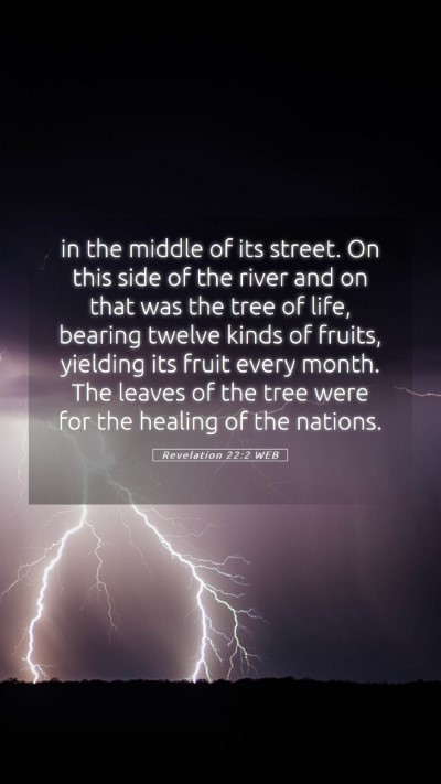 Picture 05 - Revelation 22:2 WEB Mobile Phone Wallpaper - in the middle of its street. On this side of the - Mobile Bible Verse Wallpaper