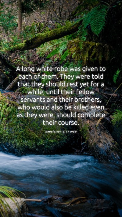 Picture 05 - Revelation 6:11 WEB Mobile Phone Wallpaper - A long white robe was given to each of them. They - Mobile Bible Verse Wallpaper