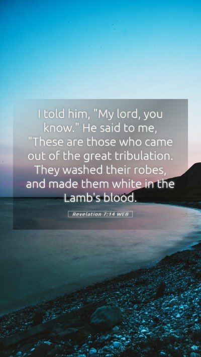 Picture 05 - Revelation 7:14 WEB Mobile Phone Wallpaper - I told him, 