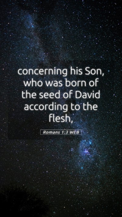 Picture 05 - Romans 1:3 WEB Mobile Phone Wallpaper - concerning his Son, who was born of the seed of - Mobile Bible Verse Wallpaper