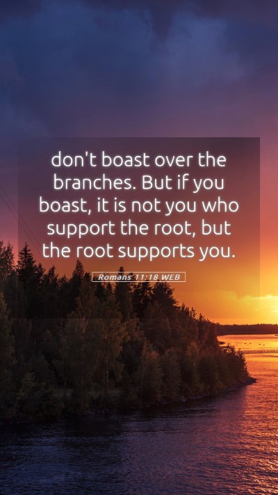 Picture 05 - Romans 11:18 WEB Mobile Phone Wallpaper - don't boast over the branches. But if you boast, - Mobile Bible Verse Wallpaper