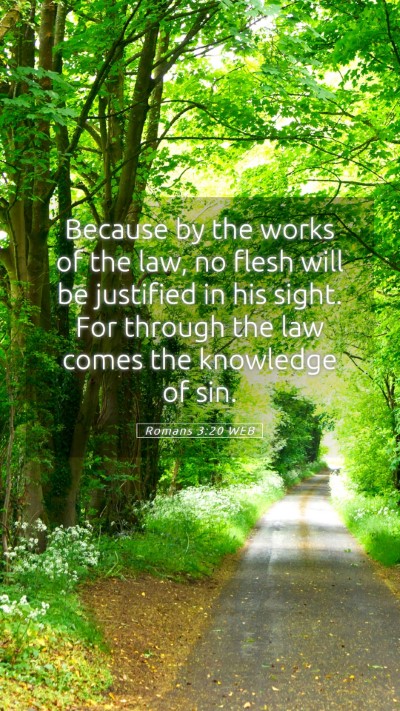 Picture 05 - Romans 3:20 WEB Mobile Phone Wallpaper - Because by the works of the law, no flesh will be - Mobile Bible Verse Wallpaper