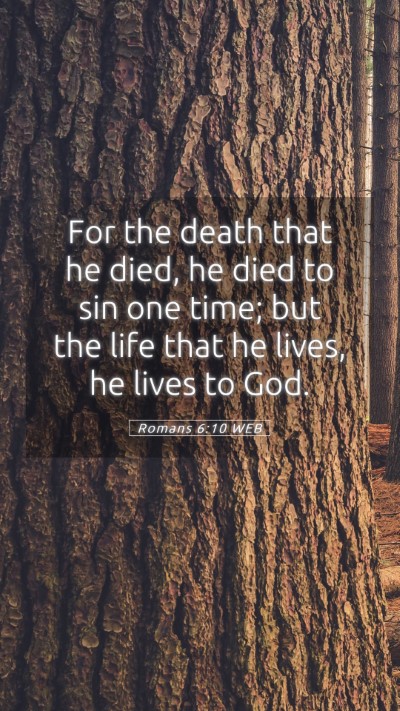 Picture 05 - Romans 6:10 WEB Mobile Phone Wallpaper - For the death that he died, he died to sin one - Mobile Bible Verse Wallpaper