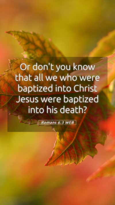 Picture 05 - Romans 6:3 WEB Mobile Phone Wallpaper - Or don't you know that all we who were baptized - Mobile Bible Verse Wallpaper