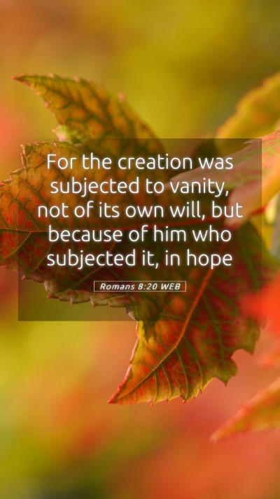 Picture 05 - Romans 8:20 WEB Mobile Phone Wallpaper - For the creation was subjected to vanity, not of - Mobile Bible Verse Wallpaper