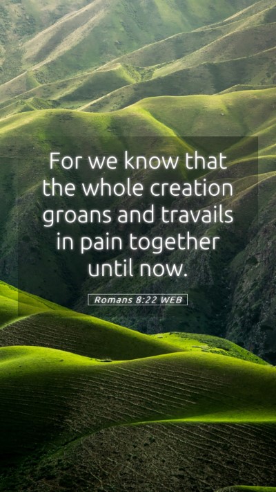 Picture 05 - Romans 8:22 WEB Mobile Phone Wallpaper - For we know that the whole creation groans and - Mobile Bible Verse Wallpaper