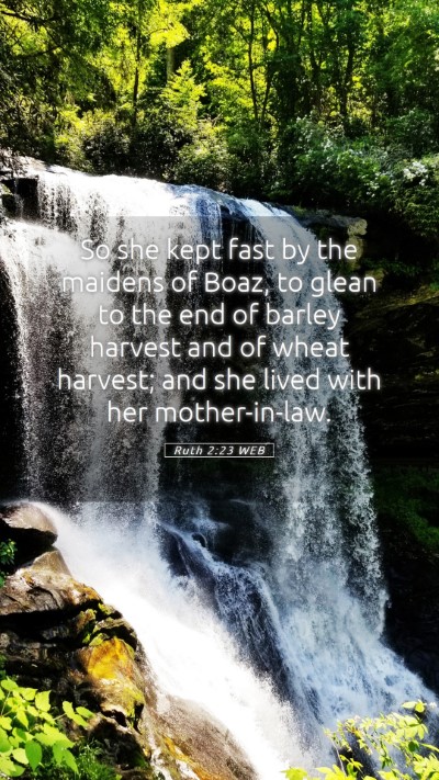 Picture 05 - Ruth 2:23 WEB Mobile Phone Wallpaper - So she kept fast by the maidens of Boaz, to glean - Mobile Bible Verse Wallpaper