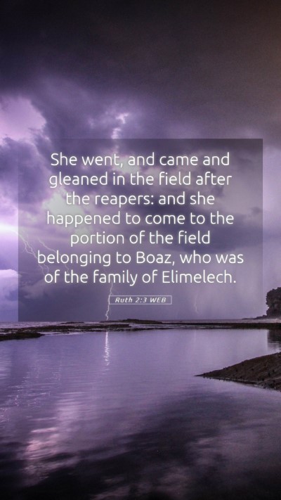 Picture 05 - Ruth 2:3 WEB Mobile Phone Wallpaper - She went, and came and gleaned in the field after - Mobile Bible Verse Wallpaper