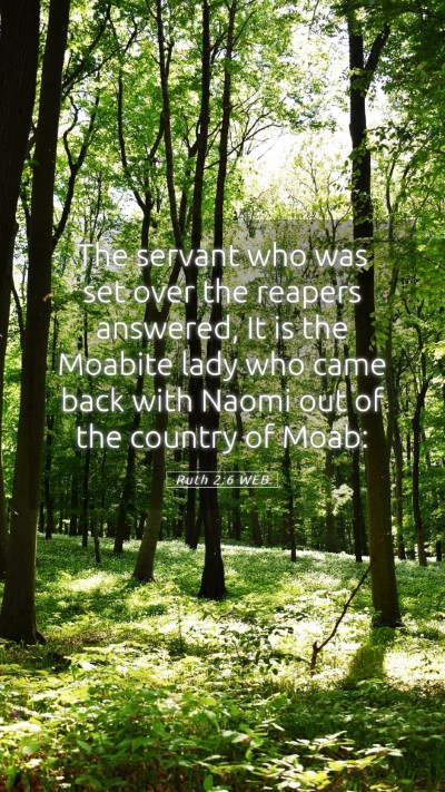 Picture 05 - Ruth 2:6 WEB Mobile Phone Wallpaper - The servant who was set over the reapers - Mobile Bible Verse Wallpaper
