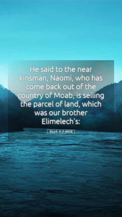 Picture 05 - Ruth 4:3 WEB Mobile Phone Wallpaper - He said to the near kinsman, Naomi, who has come - Mobile Bible Verse Wallpaper