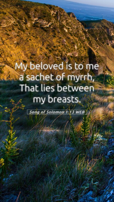 Picture 05 - Song of Solomon 1:13 WEB Mobile Phone Wallpaper - My beloved is to me a sachet of myrrh, That lies - Mobile Bible Verse Wallpaper