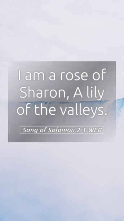 Picture 05 - Song of Solomon 2:1 WEB Mobile Phone Wallpaper - I am a rose of Sharon, A lily of the - Mobile Bible Verse Wallpaper
