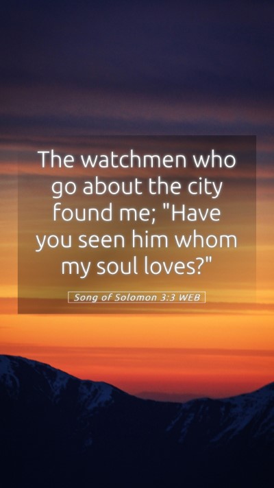 Picture 05 - Song of Solomon 3:3 WEB Mobile Phone Wallpaper - The watchmen who go about the city found me; - Mobile Bible Verse Wallpaper