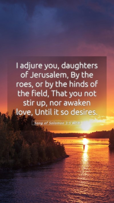 Picture 05 - Song of Solomon 3:5 WEB Mobile Phone Wallpaper - I adjure you, daughters of Jerusalem, By the - Mobile Bible Verse Wallpaper