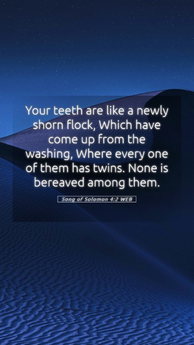 Picture 05 - Song of Solomon 4:2 WEB Mobile Phone Wallpaper - Your teeth are like a newly shorn flock, Which - Mobile Bible Verse Wallpaper