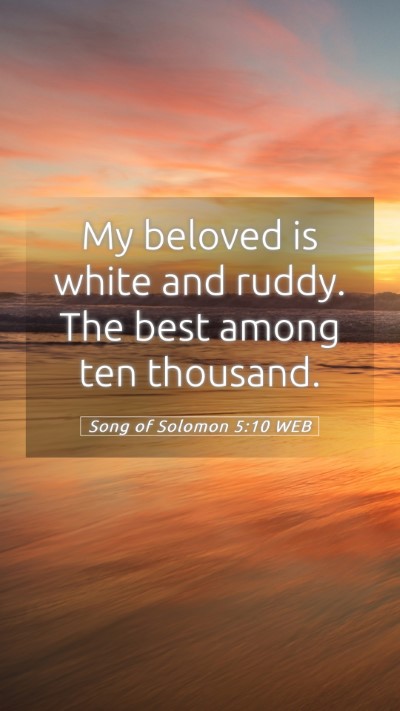 Picture 05 - Song of Solomon 5:10 WEB Mobile Phone Wallpaper - My beloved is white and ruddy. The best among ten - Mobile Bible Verse Wallpaper