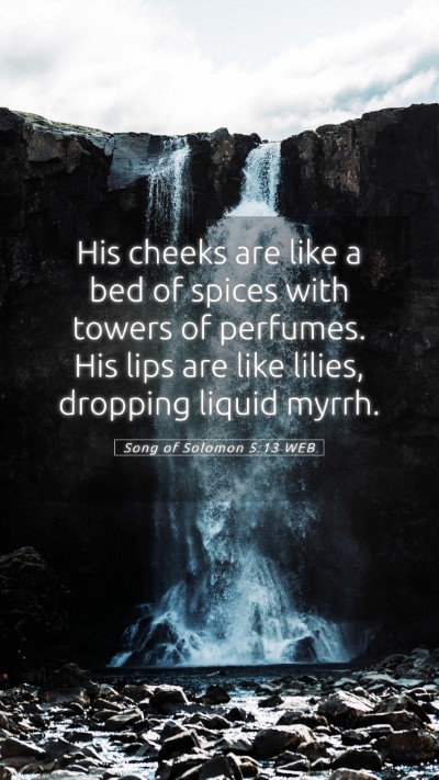 Picture 05 - Song of Solomon 5:13 WEB Mobile Phone Wallpaper - His cheeks are like a bed of spices with towers - Mobile Bible Verse Wallpaper