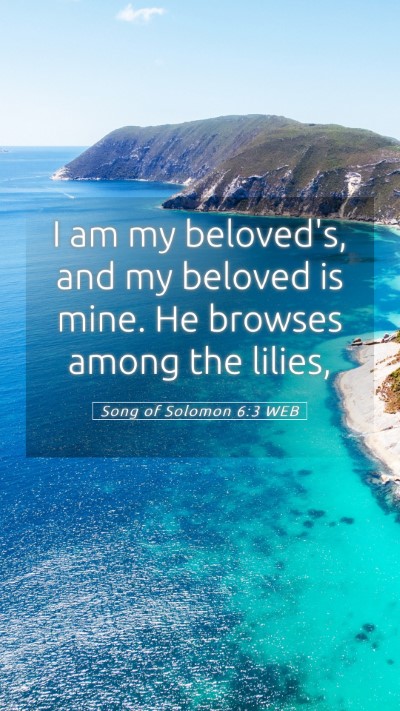 Picture 05 - Song of Solomon 6:3 WEB Mobile Phone Wallpaper - I am my beloved's, and my beloved is mine. He - Mobile Bible Verse Wallpaper