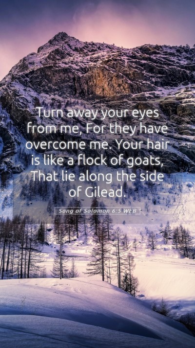 Picture 05 - Song of Solomon 6:5 WEB Mobile Phone Wallpaper - Turn away your eyes from me, For they have - Mobile Bible Verse Wallpaper