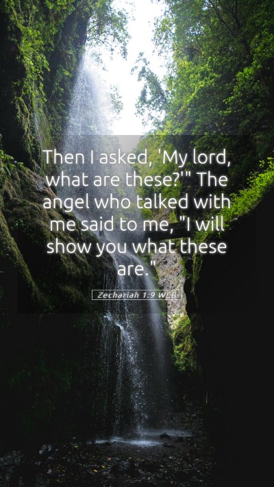Picture 05 - Zechariah 1:9 WEB Mobile Phone Wallpaper - Then I asked, 'My lord, what are these?'