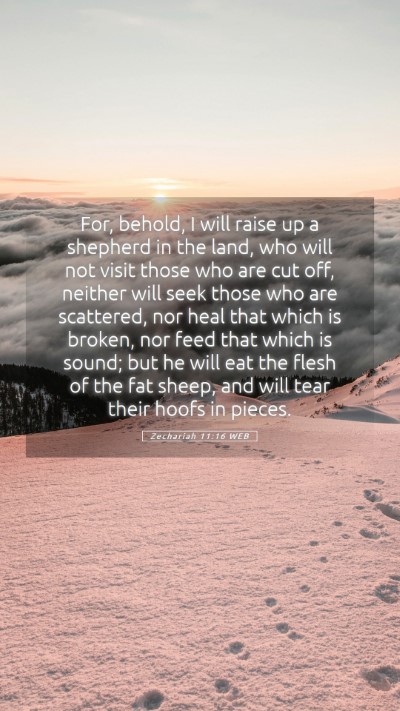 Picture 05 - Zechariah 11:16 WEB Mobile Phone Wallpaper - For, behold, I will raise up a shepherd in the - Mobile Bible Verse Wallpaper