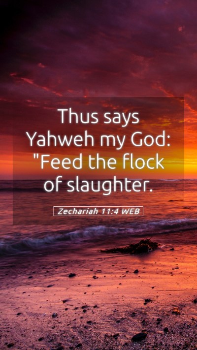 Picture 05 - Zechariah 11:4 WEB Mobile Phone Wallpaper - Thus says Yahweh my God: 