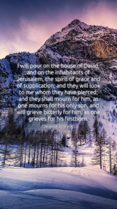Picture 05 - Zechariah 12:10 WEB Mobile Phone Wallpaper - I will pour on the house of David, and on the - Mobile Bible Verse Wallpaper