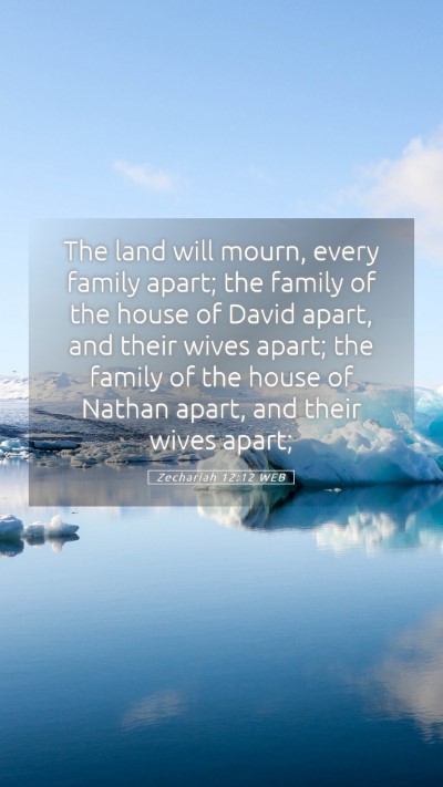 Picture 05 - Zechariah 12:12 WEB Mobile Phone Wallpaper - The land will mourn, every family apart; the - Mobile Bible Verse Wallpaper