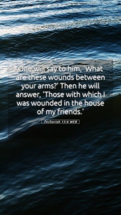 Picture 05 - Zechariah 13:6 WEB Mobile Phone Wallpaper - One will say to him, 'What are these wounds - Mobile Bible Verse Wallpaper