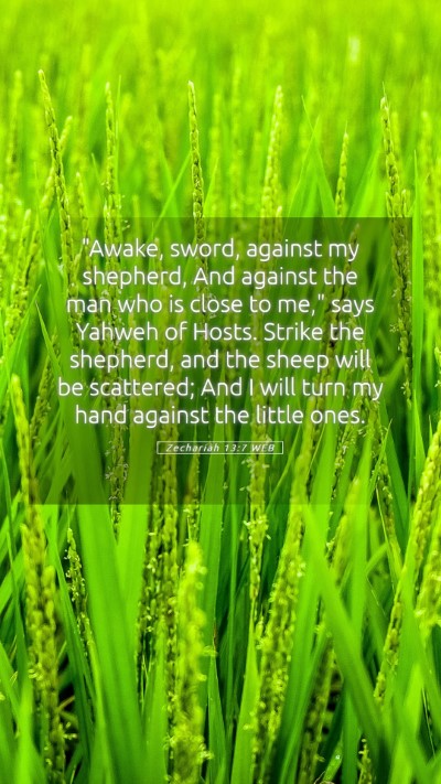 Picture 05 - Zechariah 13:7 WEB Mobile Phone Wallpaper - 