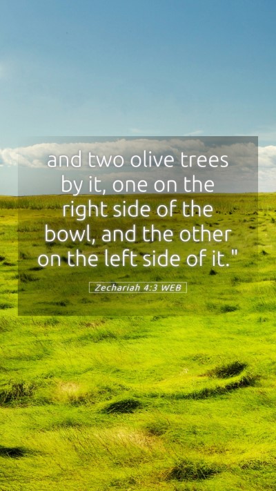 Picture 05 - Zechariah 4:3 WEB Mobile Phone Wallpaper - and two olive trees by it, one on the right side - Mobile Bible Verse Wallpaper