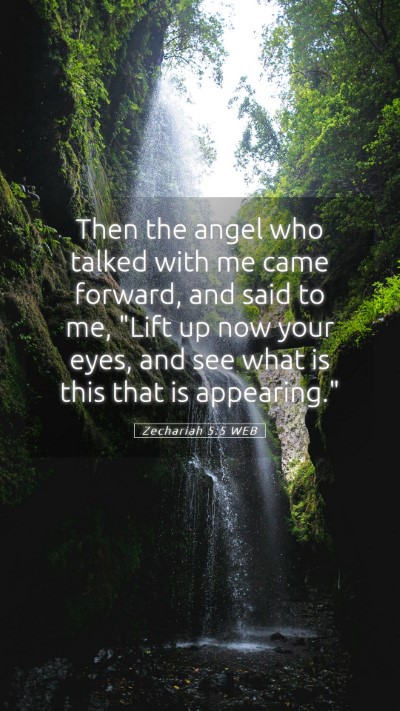 Picture 05 - Zechariah 5:5 WEB Mobile Phone Wallpaper - Then the angel who talked with me came forward, - Mobile Bible Verse Wallpaper