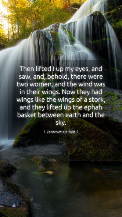 Picture 05 - Zechariah 5:9 WEB Mobile Phone Wallpaper - Then lifted I up my eyes, and saw, and, behold, - Mobile Bible Verse Wallpaper
