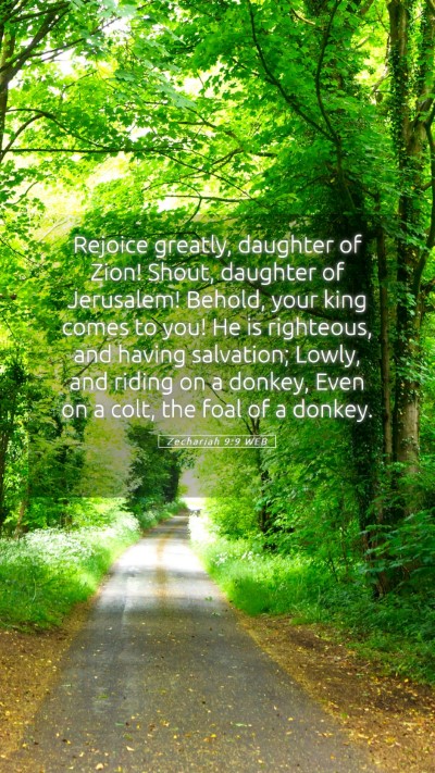 Picture 05 - Zechariah 9:9 WEB Mobile Phone Wallpaper - Rejoice greatly, daughter of Zion! Shout, - Mobile Bible Verse Wallpaper