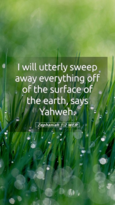 Picture 05 - Zephaniah 1:2 WEB Mobile Phone Wallpaper - I will utterly sweep away everything off of the - Mobile Bible Verse Wallpaper
