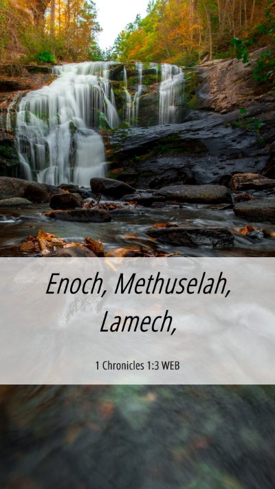 Picture 06 - 1 Chronicles 1:3 WEB Mobile Phone Wallpaper - Enoch, Methuselah, - Mobile Bible Verse Wallpaper