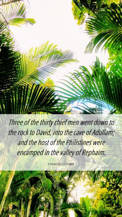 Picture 06 - 1 Chronicles 11:15 WEB Mobile Phone Wallpaper - Three of the thirty chief men went down to the - Mobile Bible Verse Wallpaper