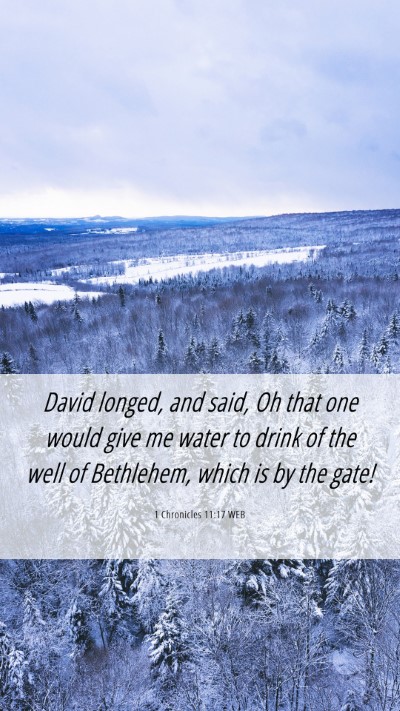 Picture 06 - 1 Chronicles 11:17 WEB Mobile Phone Wallpaper - David longed, and said, Oh that one would give me - Mobile Bible Verse Wallpaper