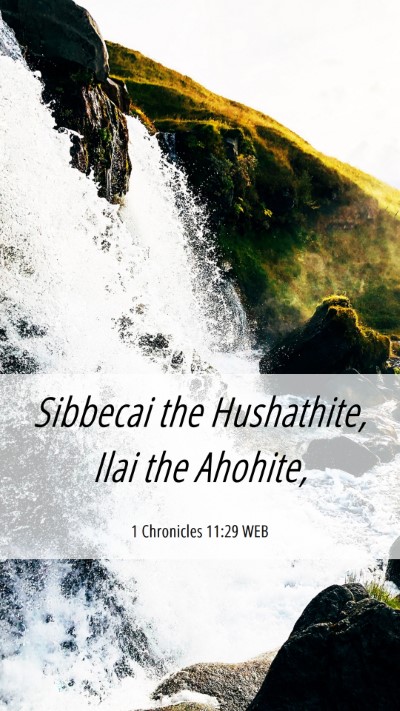 Picture 06 - 1 Chronicles 11:29 WEB Mobile Phone Wallpaper - Sibbecai the Hushathite, Ilai the - Mobile Bible Verse Wallpaper