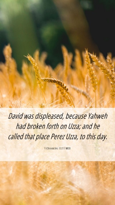 Picture 06 - 1 Chronicles 13:11 WEB Mobile Phone Wallpaper - David was displeased, because Yahweh had broken - Mobile Bible Verse Wallpaper
