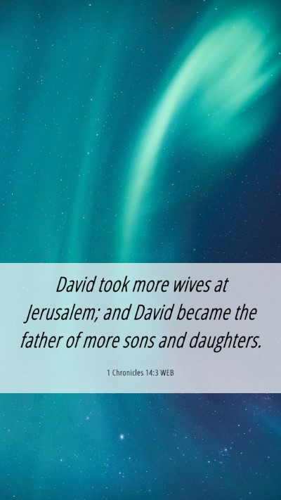 Picture 06 - 1 Chronicles 14:3 WEB Mobile Phone Wallpaper - David took more wives at Jerusalem; and David - Mobile Bible Verse Wallpaper
