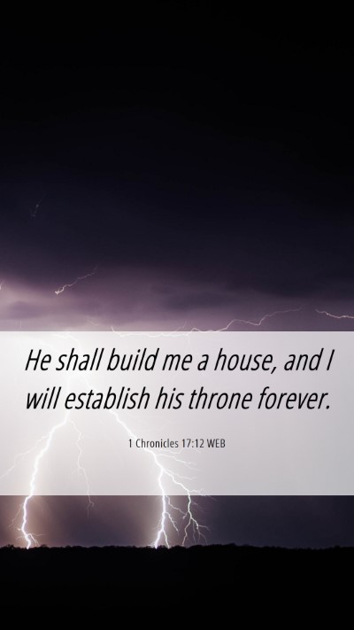 Picture 06 - 1 Chronicles 17:12 WEB Mobile Phone Wallpaper - He shall build me a house, and I will establish - Mobile Bible Verse Wallpaper
